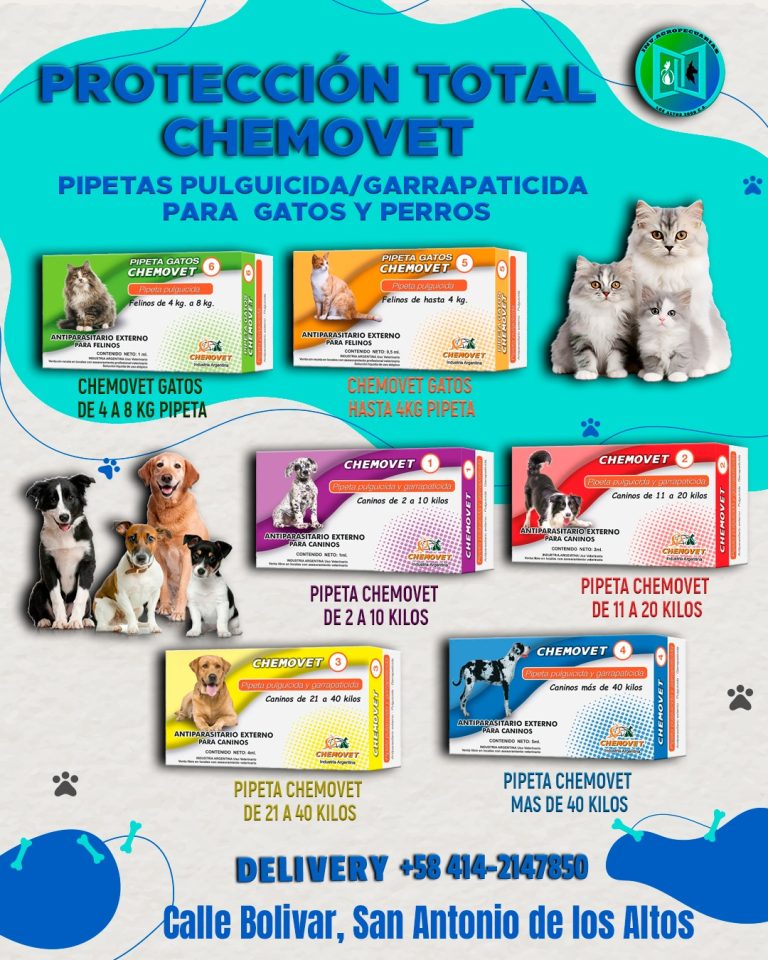 WhatsApp Image 2025-09-04 at 4.44.03 PM